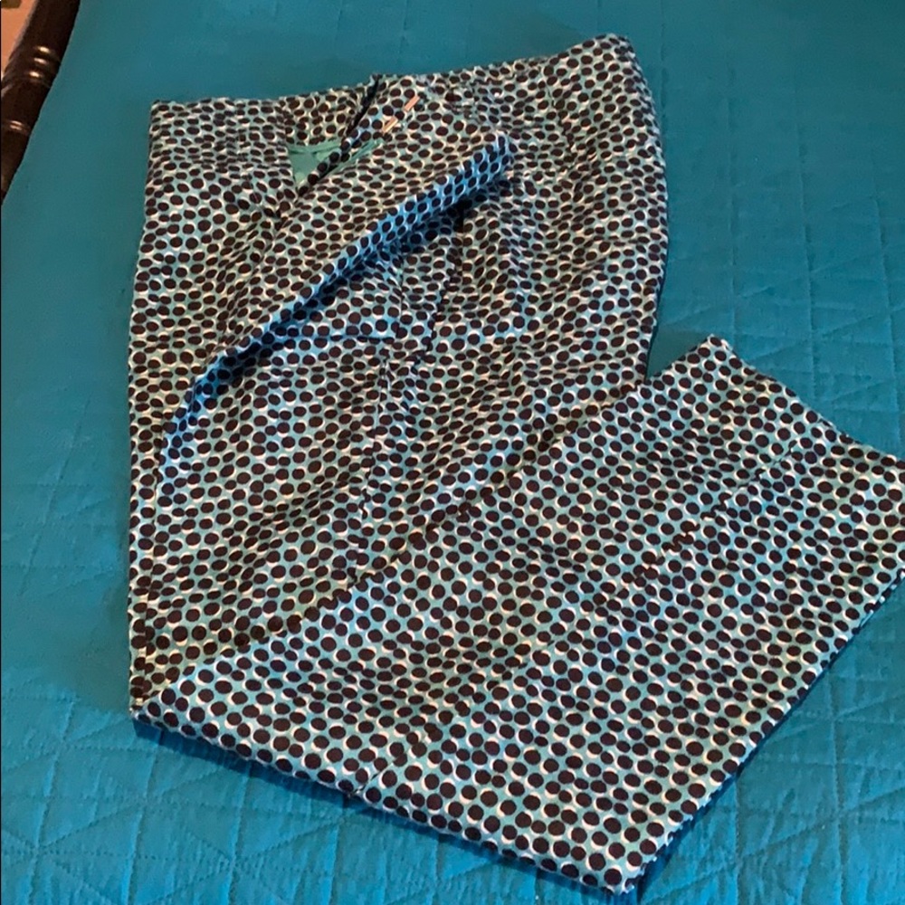 Loft Brand Skinny Ankle Pants.